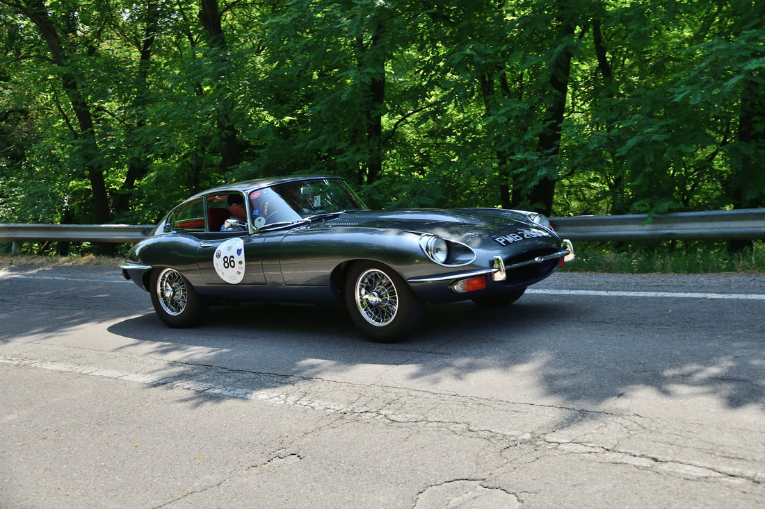 moss jaguar ltd